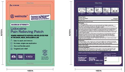 Pack (92 45001 1021 Pouch Lidocaine 30ct)